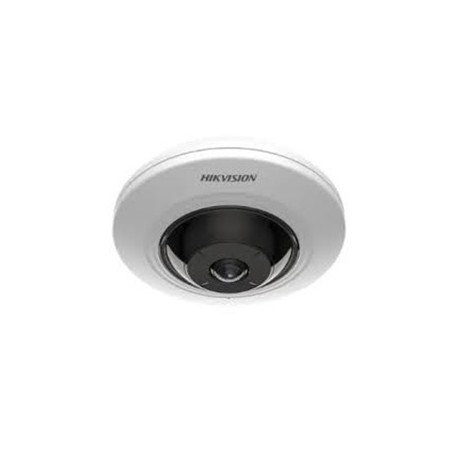 Hikvision DS-2CD2955G0-ISU(1.05mm)(O-STD)